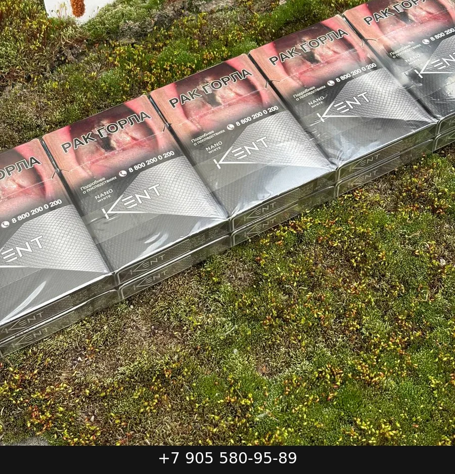 Kent Core Silver Duty Free купить оптом — цена за блок